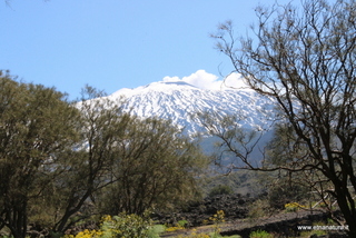 nte Egitto-29-04-2023 09-40-31